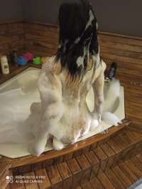 Gösterişli otelde buluşan escort Hacer